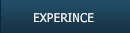 EXCPERINCE